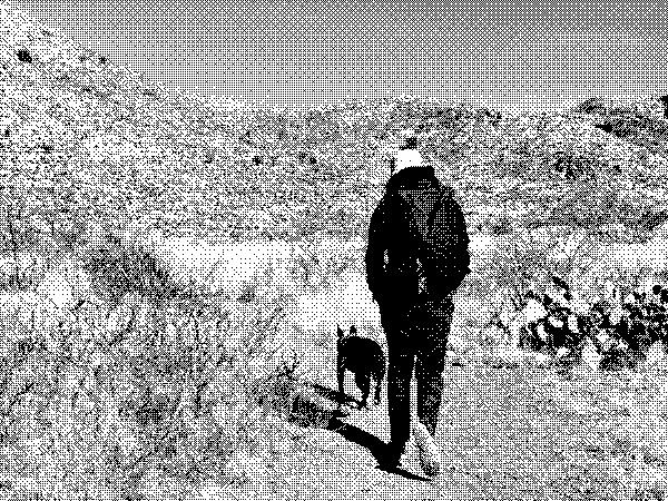 A photograph of a man walking with a dog in a desert landscape.